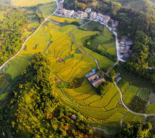 花都红山村_调整大小