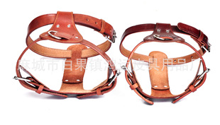 Factory wholesale dog pet head layer cowhide chest strap traction work guard dog cowhide chest back