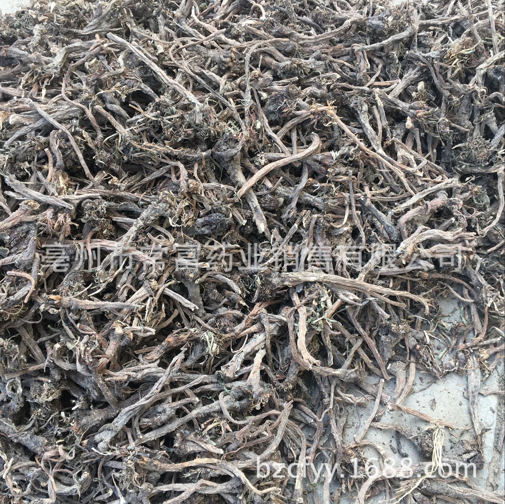 Dandelion Root Tea Pu Gong Ying Gen Washed Dried Roots for Herbal Infusions and Decoctions 500g preparation