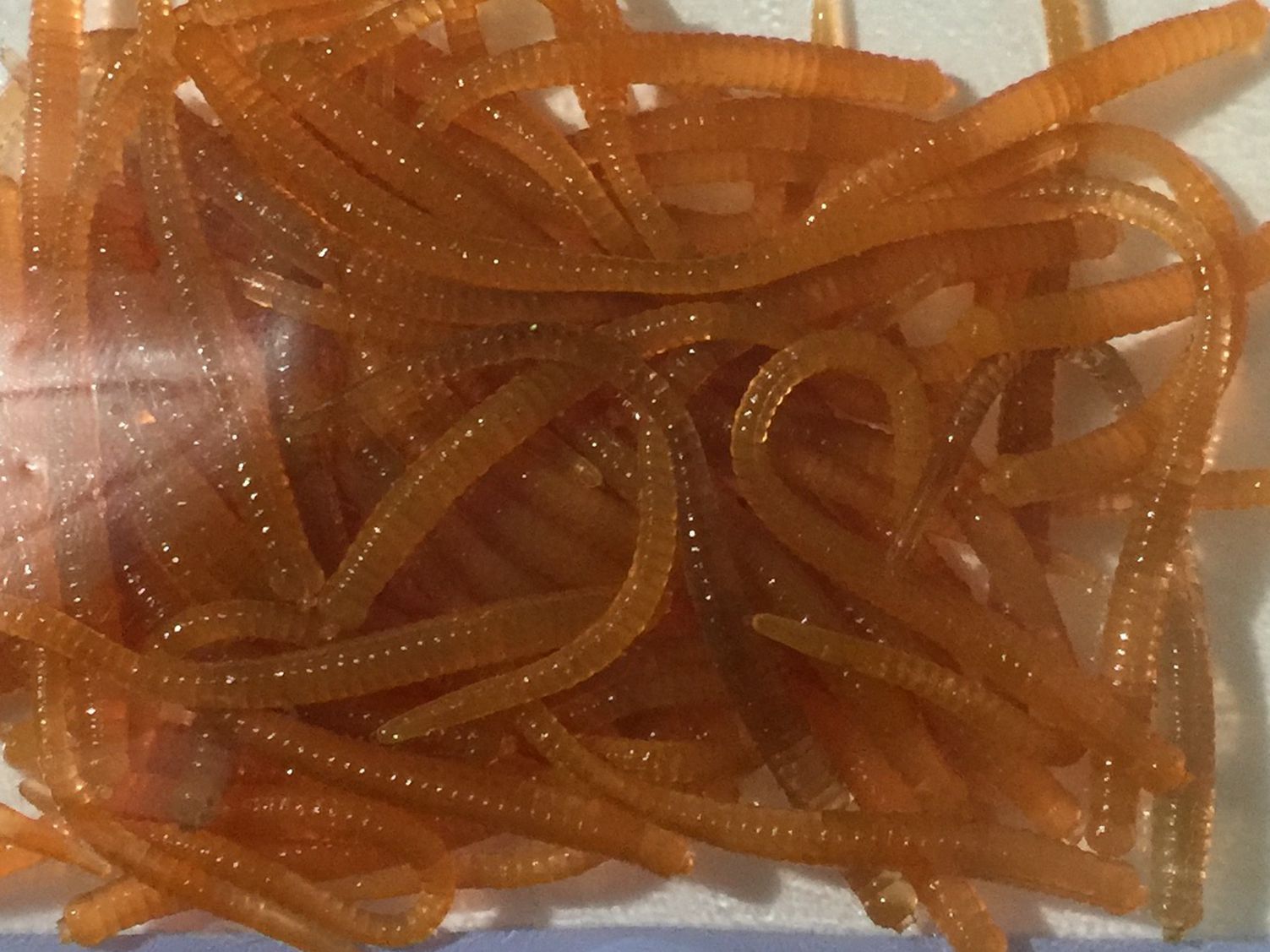 AED7E0C2-2924-44F5-A49A-88341A