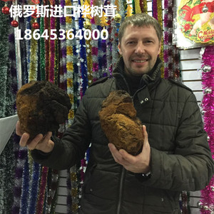 【桦树茸】桦树茸价格\/图片_桦树茸批发\/采购