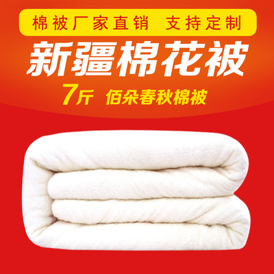 7斤 有网棉花被棉絮棉被 单双人 温暖型 冬季用 支持一件代发|ru