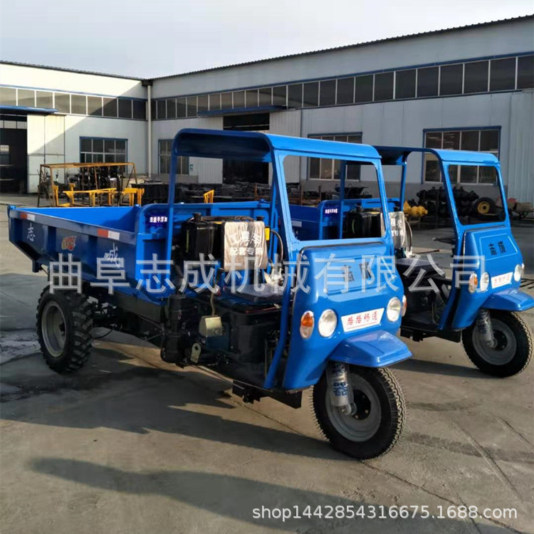 志成三轮车 (13)