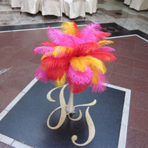 quality dyeing Ostrich Feather Ostrich feather Bleach Ostrich routine colour goods in stock supply 35-40