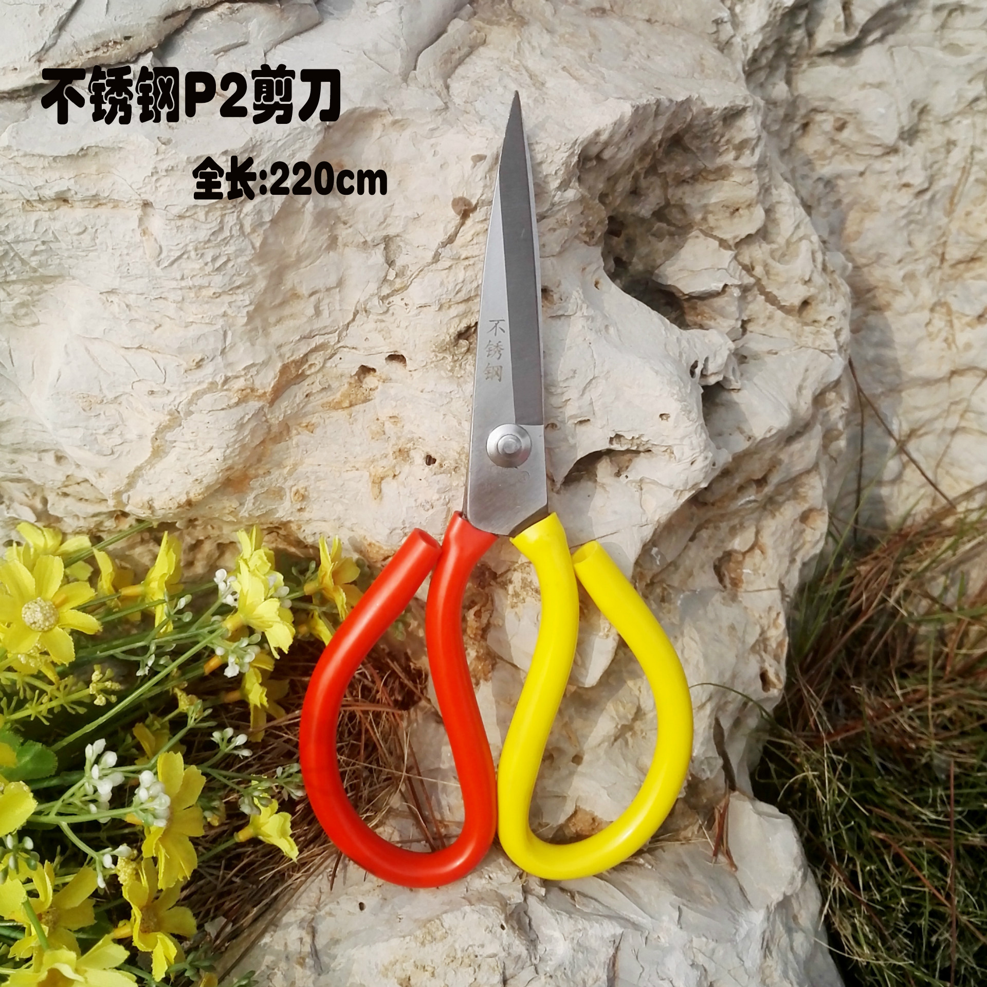 2345_image_file_copy_1