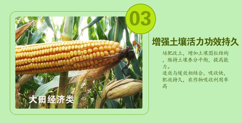 详情1_05