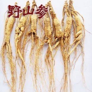 野山参批发 东北林下参礼盒 炖汤泡酒养生滋补药食同源|ms