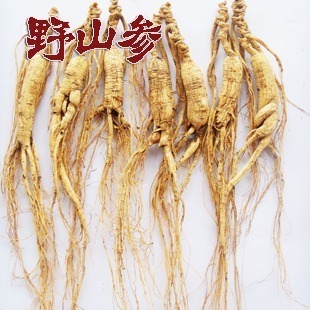 野山参批发 东北林下参礼盒 炖汤泡酒养生滋补药食同源|ms