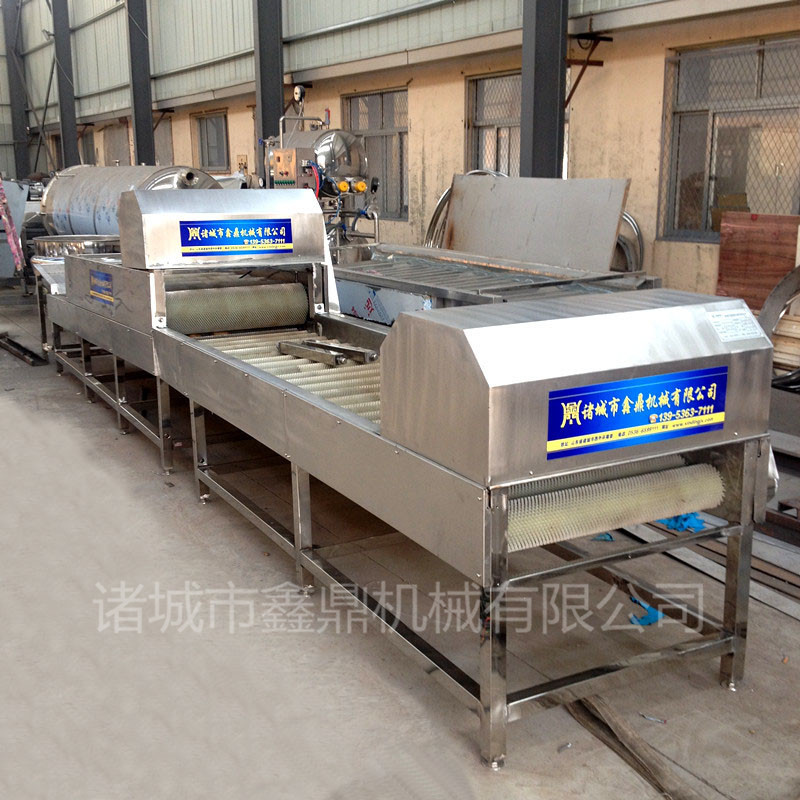 诸城生产胡萝卜干洗机土豆干洗机机 马铃薯干洗机 高效干洗机