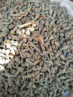 野生三七图片_野生三七图片大全 - 阿里巴巴海