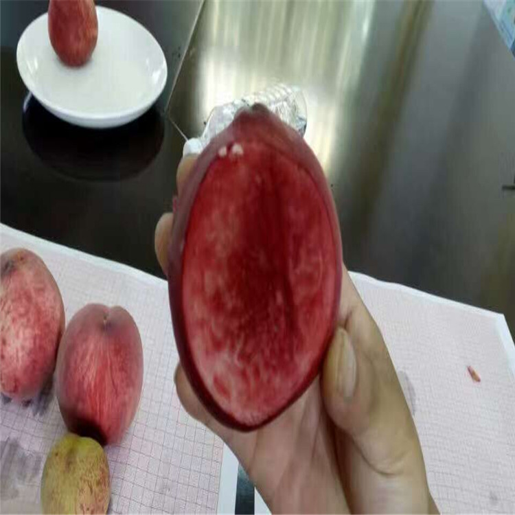 QQ图片20161004095631