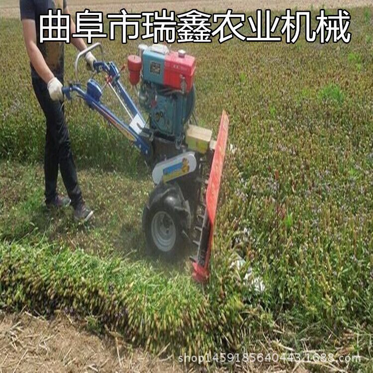 QQ�DƬ20160406105251 - ���� - ����