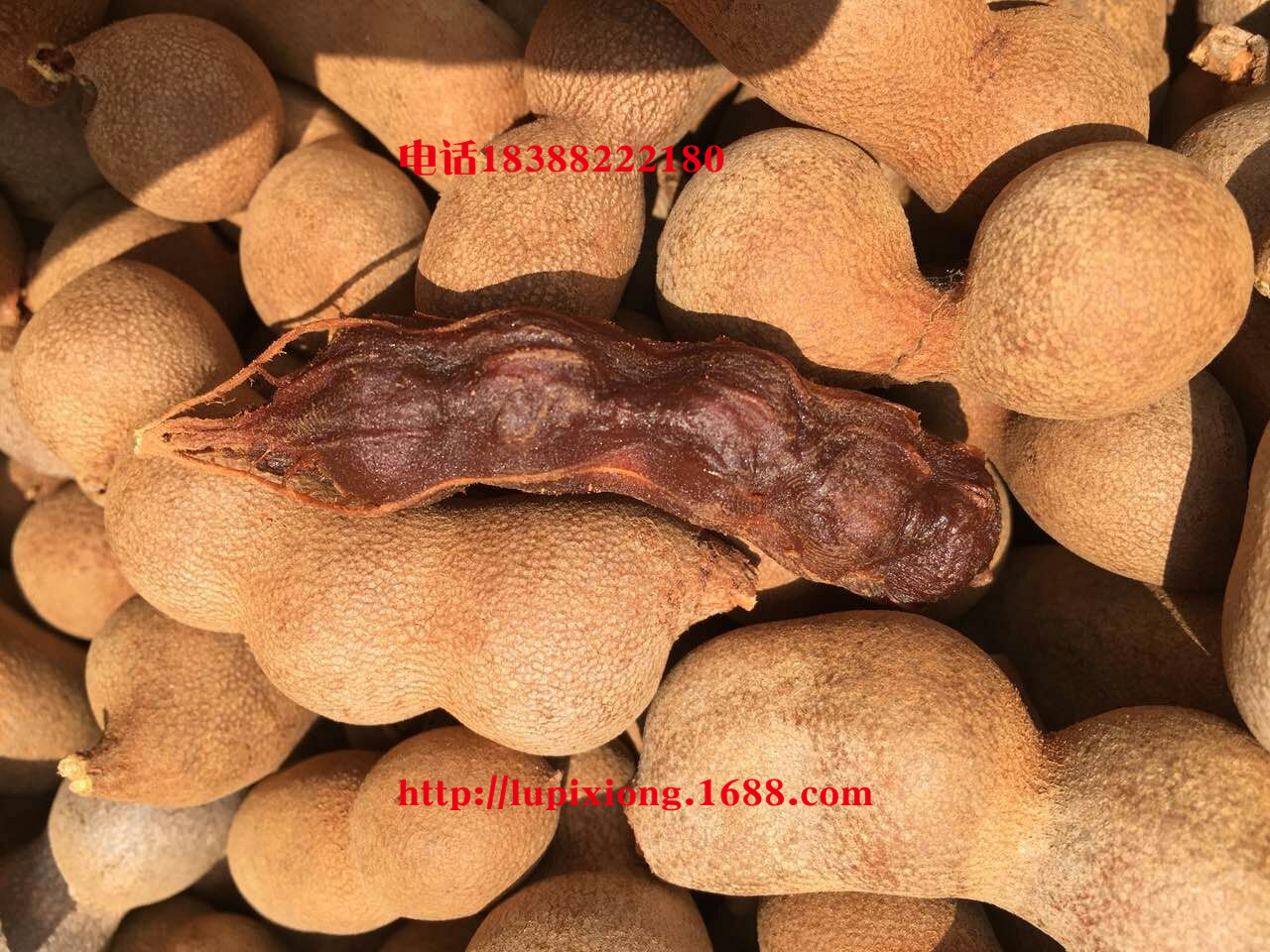 mmexport1456723072490