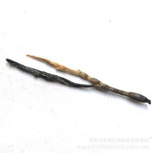 ���] �Ř�t�� ���� ��ϵ�t���ʹŘ���� �ؼ������ᘵ�t�t��