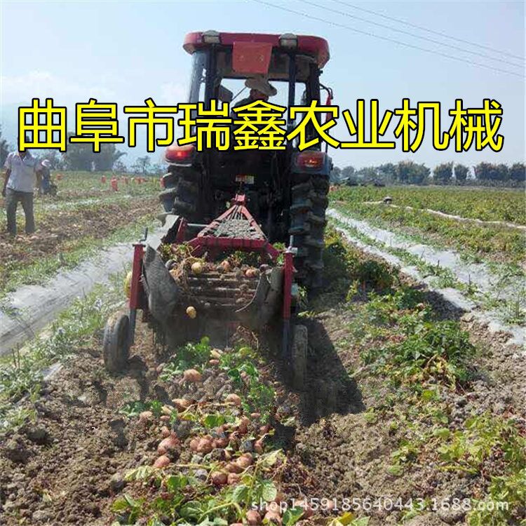 手扶车带动的收获机 收获机厂家 新款二合一型马铃薯收获机