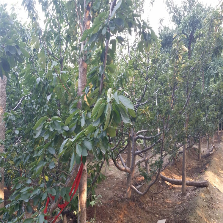 QQ图片20160727085745