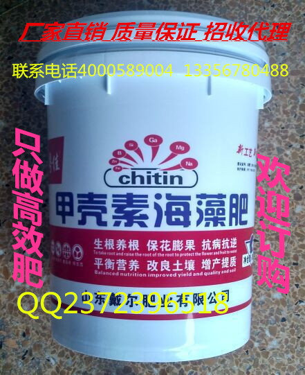 3036314995_636267711_副本_副本