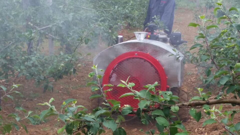 QQ圖片20160612100944