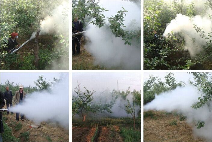 Y(PFW{${]B[W])J}U)ZH9M3