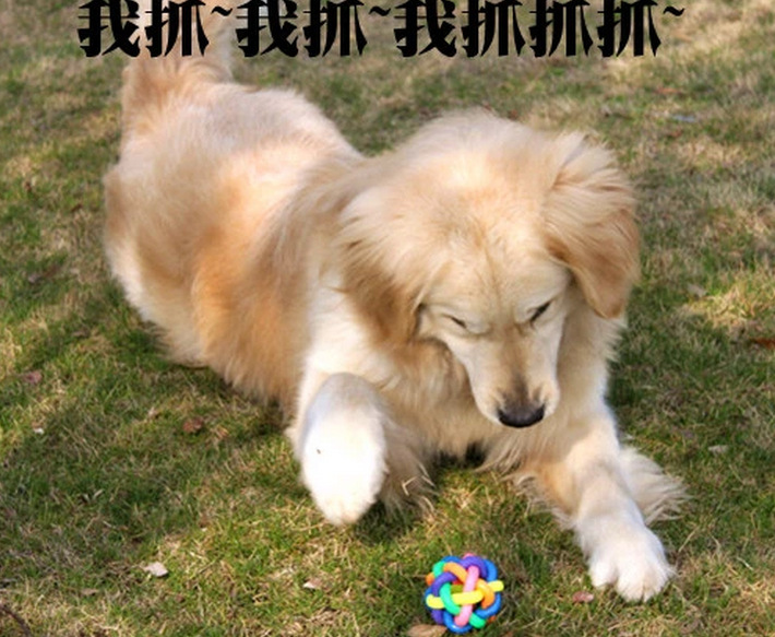 2104926609_973929501