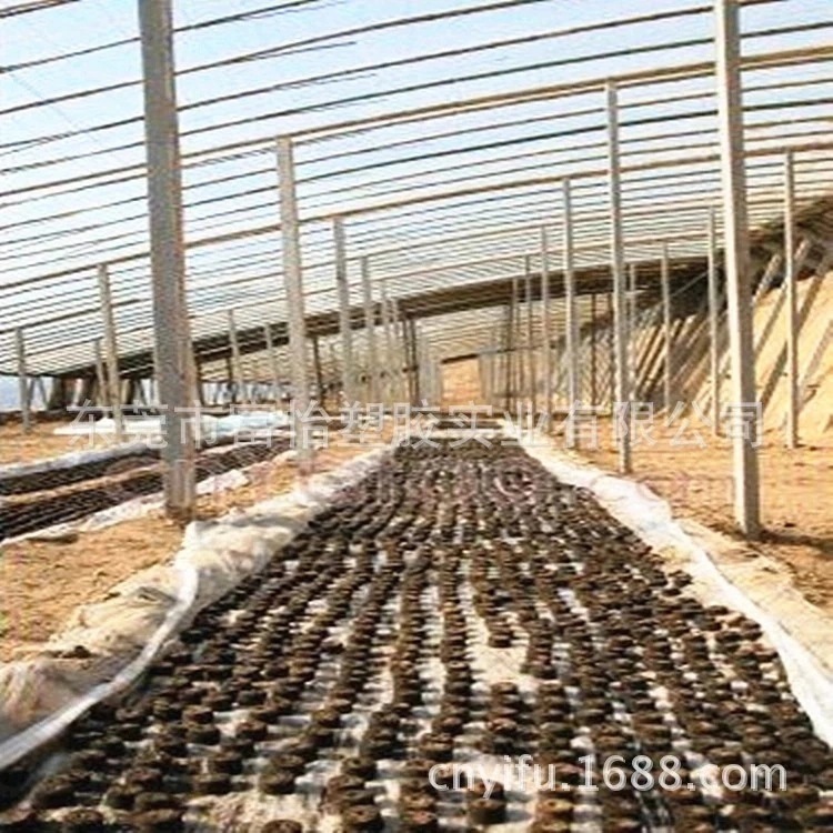 批发供应养鱼虾螺旋藻温室工程PE双层农用保温膜 厂家直销