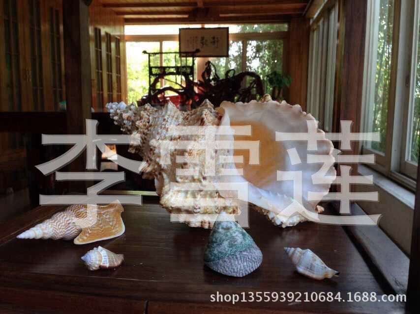 QQ图片20160309193336