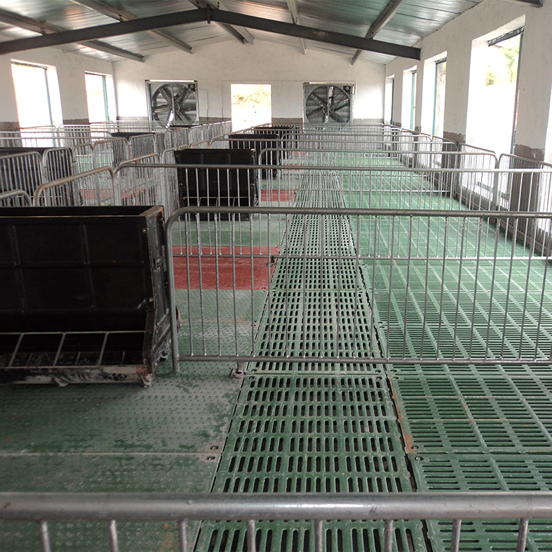 保育栏 保育床 半漏缝保育栏 半漏缝保育栏 保育舍