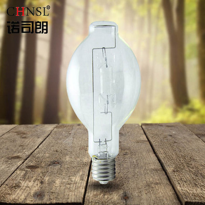 厂家批发诺司朗金属卤化物灯250W球形灯泡 镝灯工地照明灯 金卤灯|ru