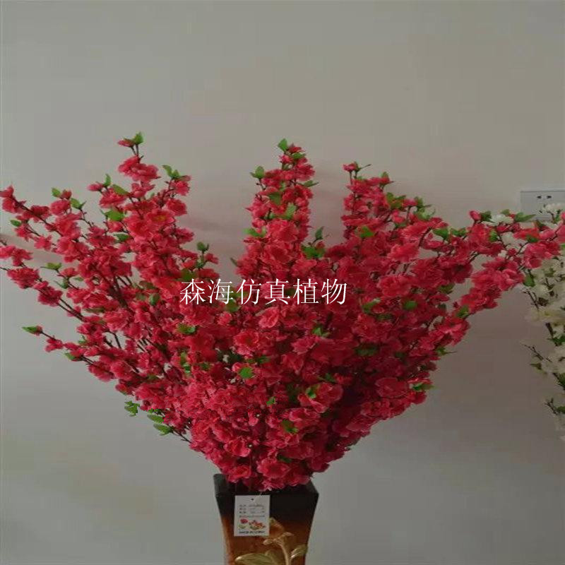 TB27szkjFXXXXaMXpXXXXXXXXXX_!!