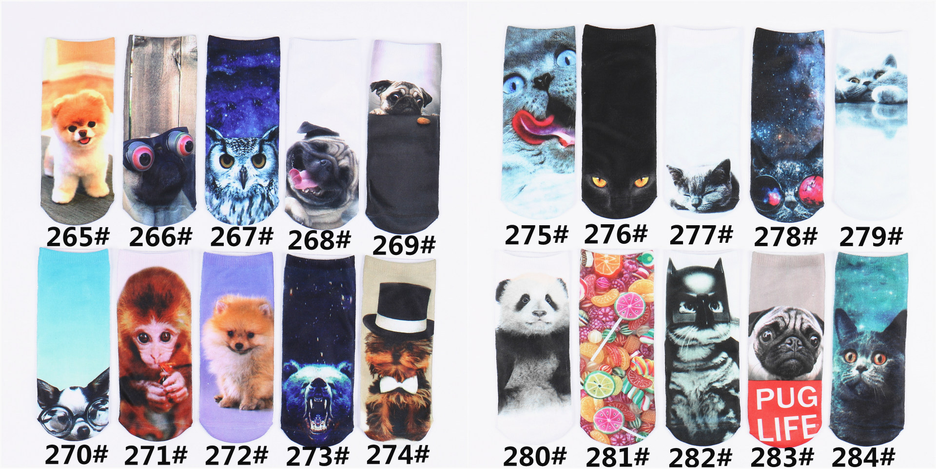 IMG_1954_副本11_副本