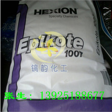 Ʒ ɭ EPON1009F  h֬̑B߷ȩȩىTϭh