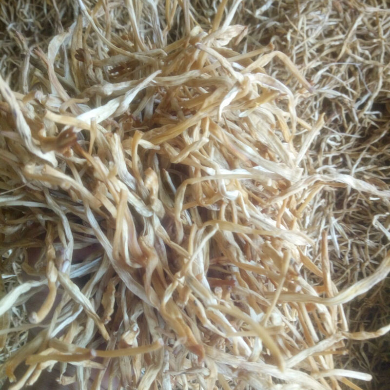 邵东批发市场：商贸繁荣的新时代窗口