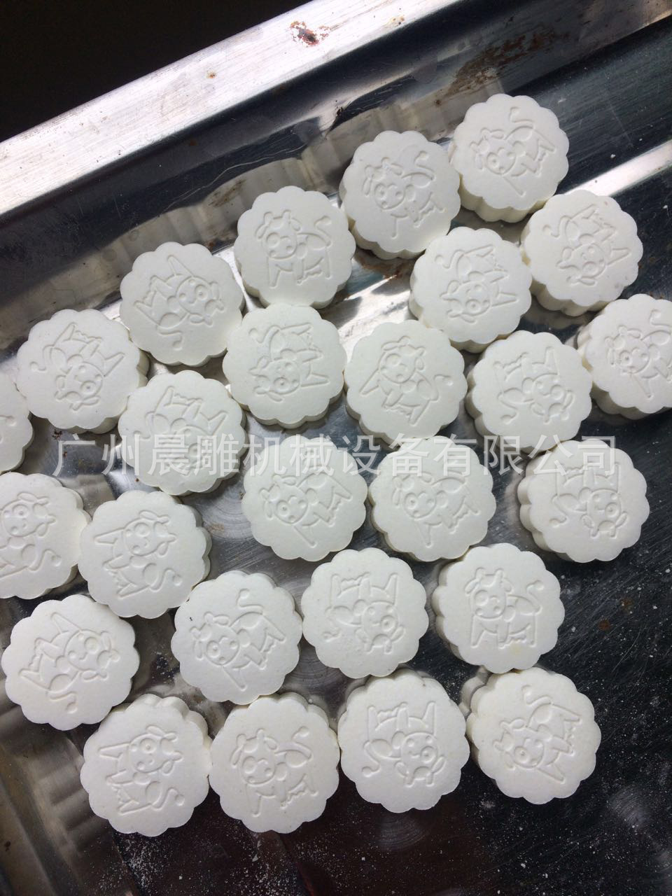 不锈钢压片机19冲