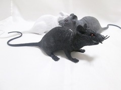 Unique and Fun Halloween Mouse Prank Toy for Adults and Kids - Perfect for Pranks and Fun - Amazon Cross-Border Supply