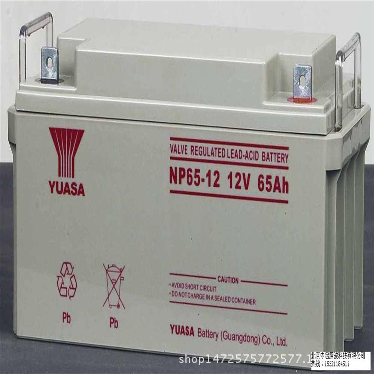 湯淺電池NP65-12v