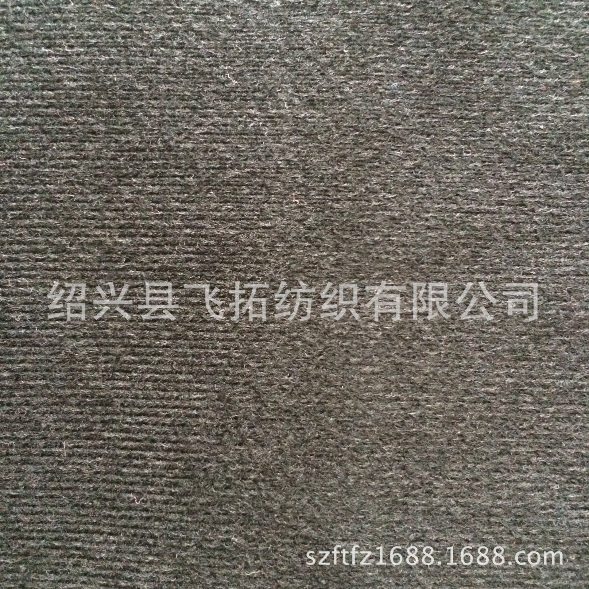 厂家直销 180克全涤圈绒  经编拉绒布 玩具地毯面料