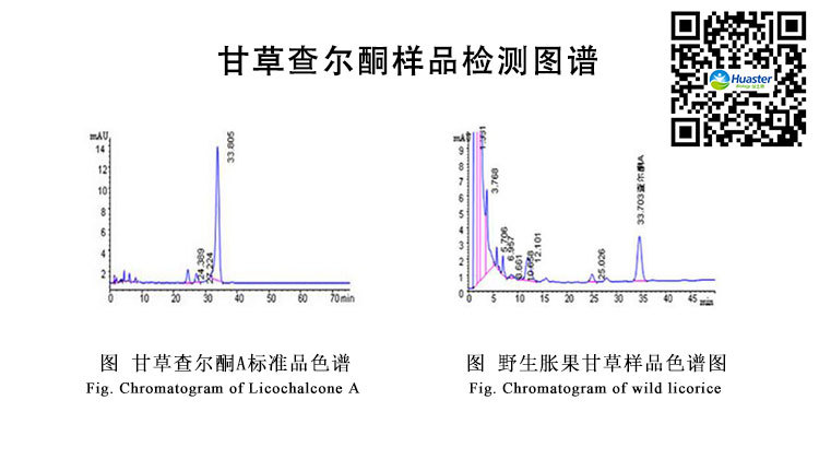 甘草查尔酮A样品检测图谱