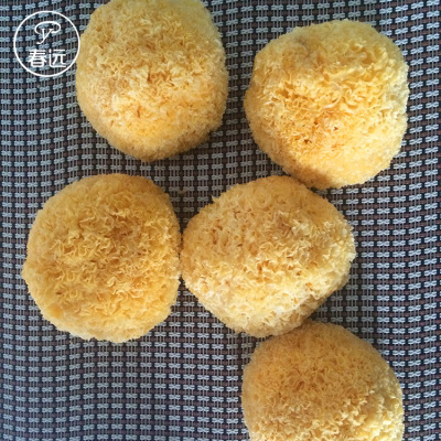 特选古田丑耳 8公分以上特级丑耳 精选糯耳产地批发500克|ms