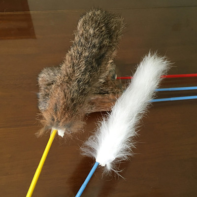 长条型毛条逗猫棒 宠物乐趣猫咪互动玩具 万宠宠物逗猫玩具批