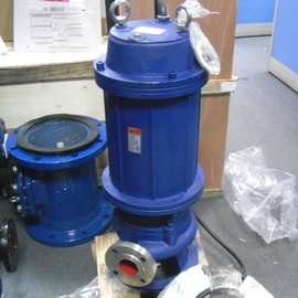 65WQP25-22不锈钢潜水泵 铸造304不锈钢潜水泵 3kw不锈钢潜水泵