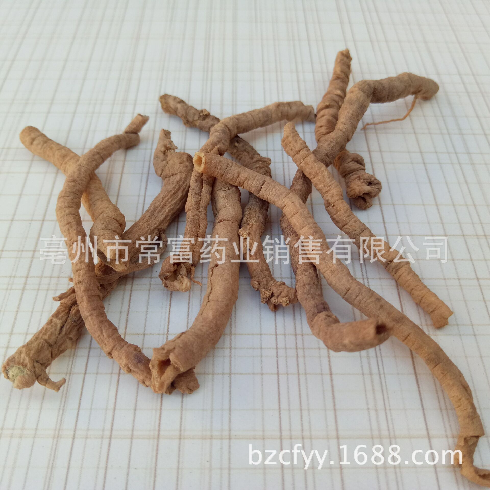 Polygala Root Yuan Zhi 远志 Dried TCM Herb 500g Shanxi Origin for Decoction and Culinary Use overview