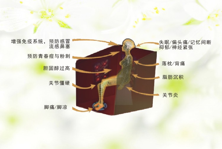 8508光譜能量桑拿房6