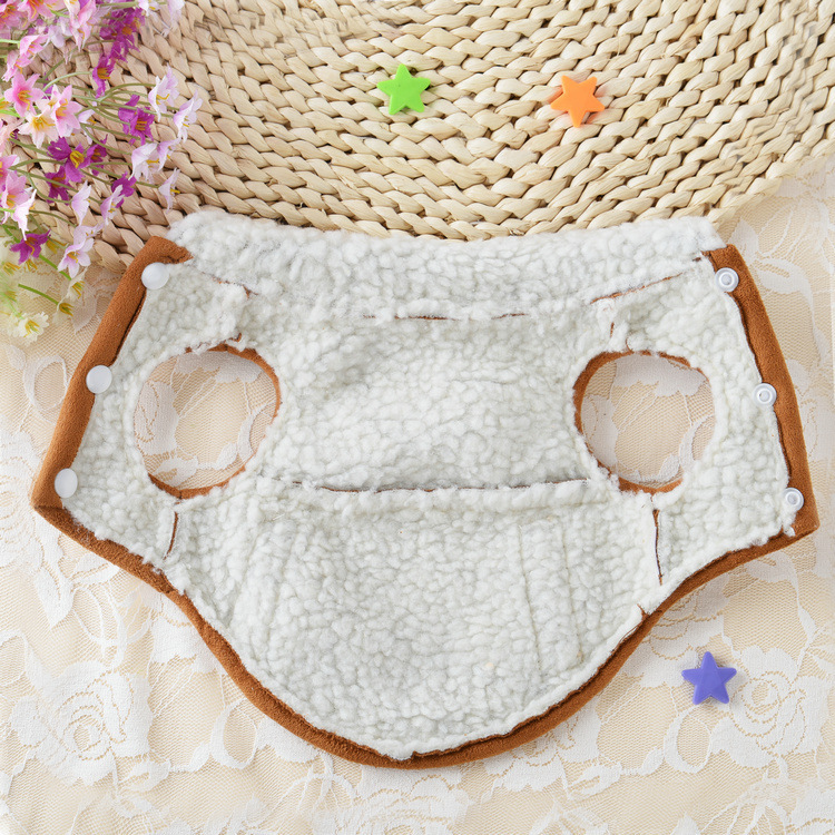 Teddy Dog Clothing - Perfect Fit