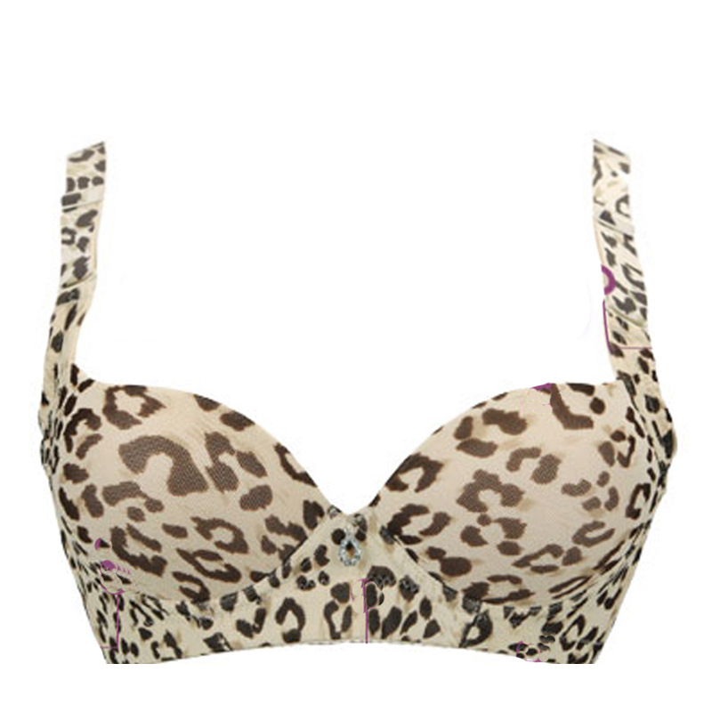 139e3c3c8deca15102c92991ee5485