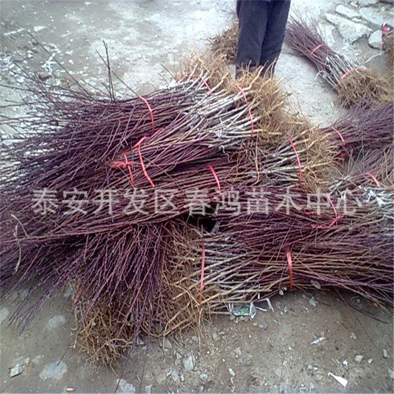 x1_1.1348760563_640_480_221933