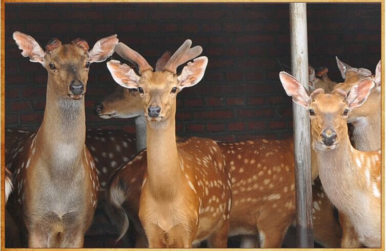 QQ图片20160907110009