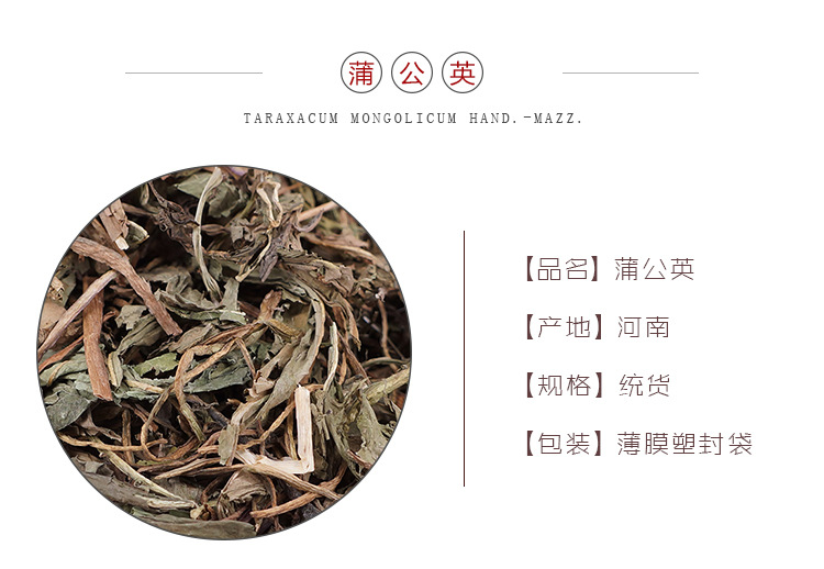 Dried Dandelion Whole Herb Pu Gong Ying Loose Bulk 500g for Tea and Decoction overview