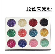 12色贝壳粉 美甲12色贝壳粉套装 光疗水晶甲装饰品 美甲用品批发