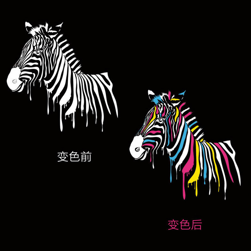 遇水变色雨伞 韩国创意斑马折叠防晒黑胶太阳伞 户外折叠伞5