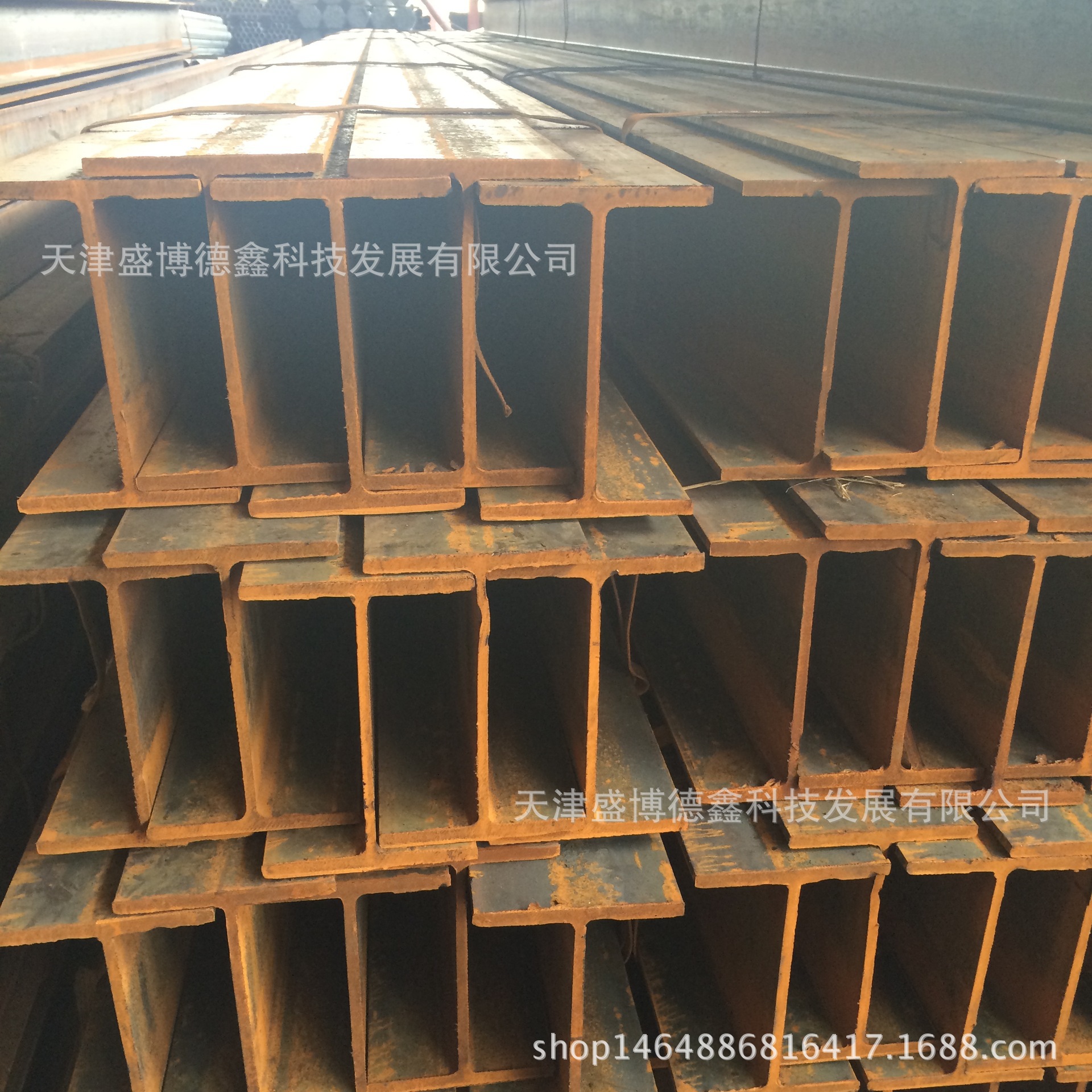 3211139724_740228820